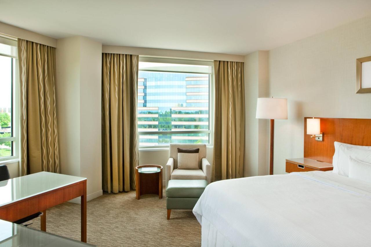 Suite 1 King Sofa bed Lake view